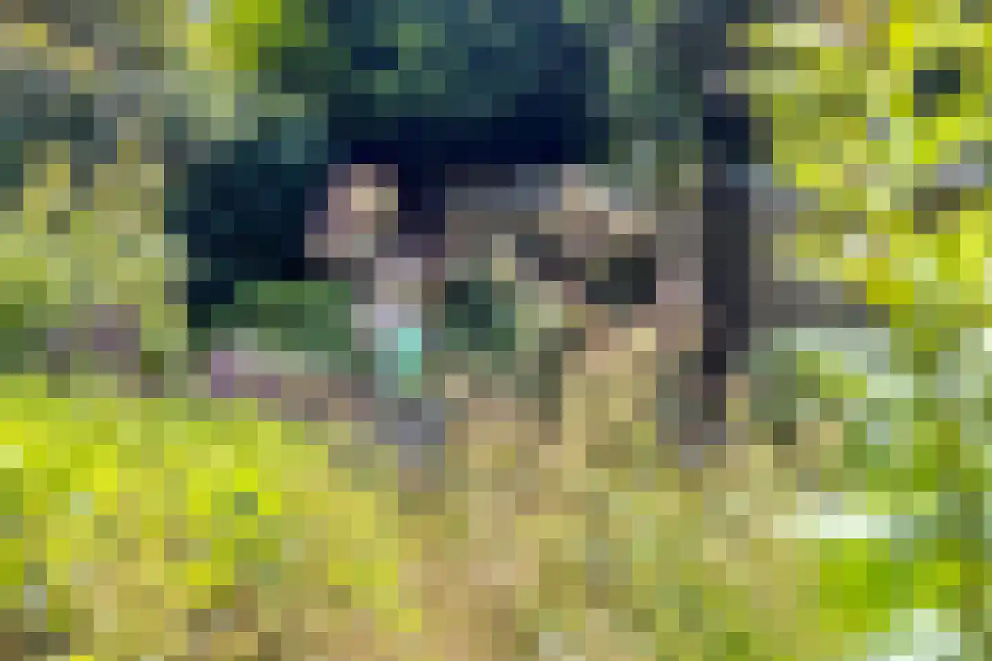 Beukenlaan 8 Rhenen thumbnail 34