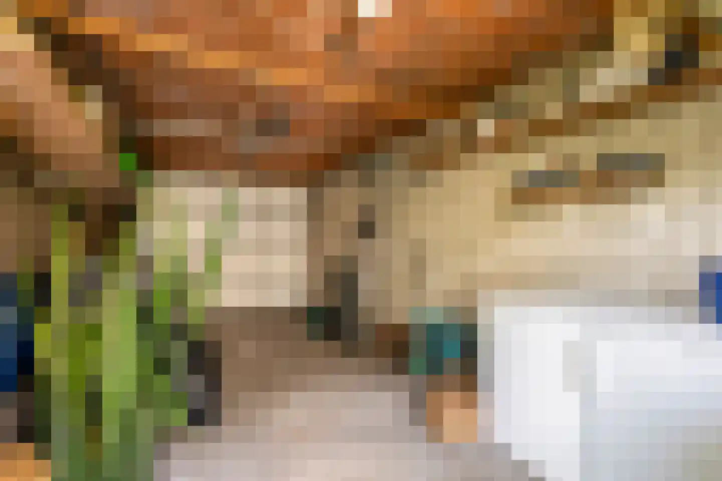 Beukenlaan 8 Rhenen thumbnail 35