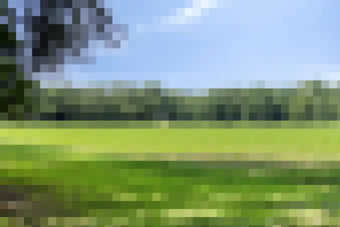 Beukenlaan 8 Rhenen thumbnail 36