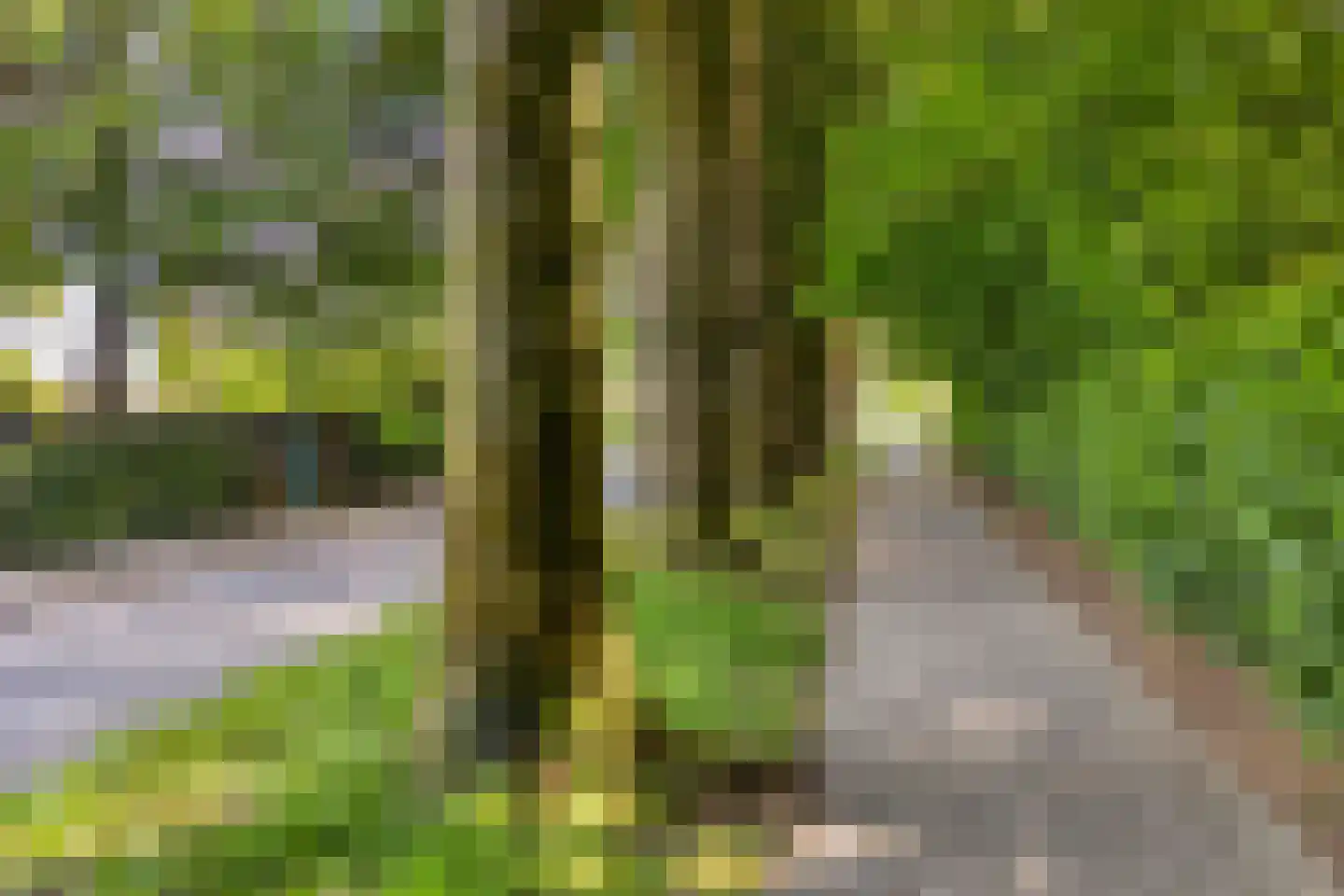 Beukenlaan 8 Rhenen thumbnail 37