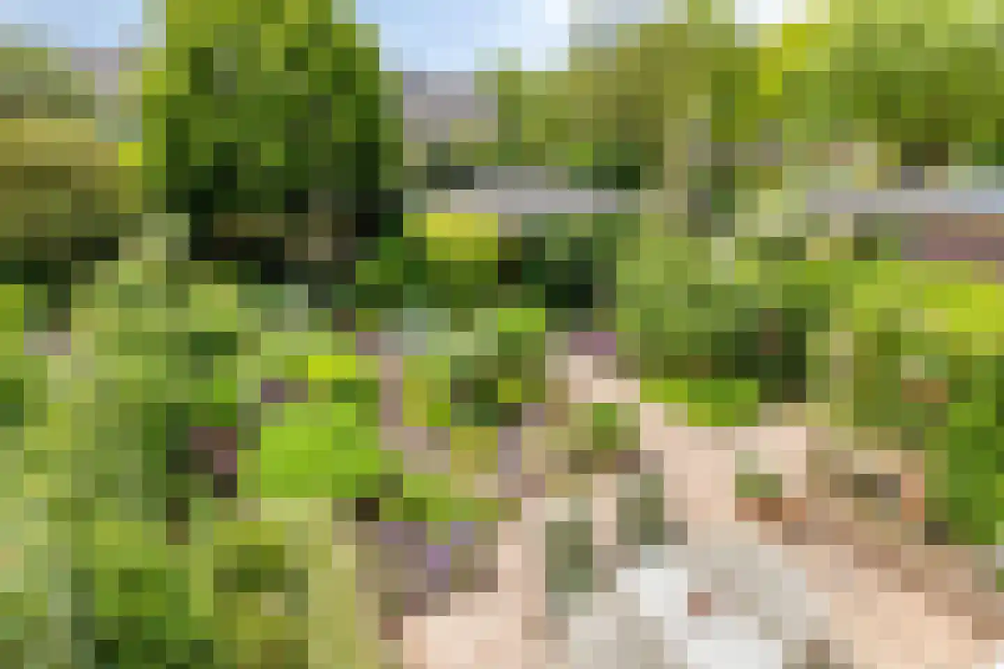 Beukenlaan 8 Rhenen thumbnail 4