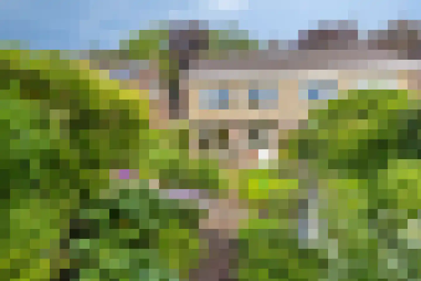 Beukenlaan 8 Rhenen thumbnail 5