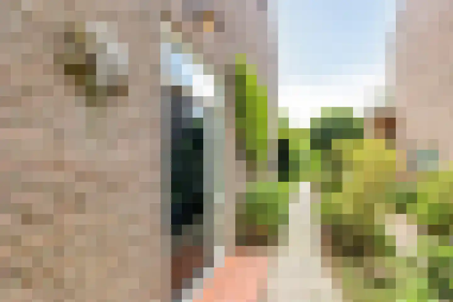 Beukenlaan 8 Rhenen thumbnail 6