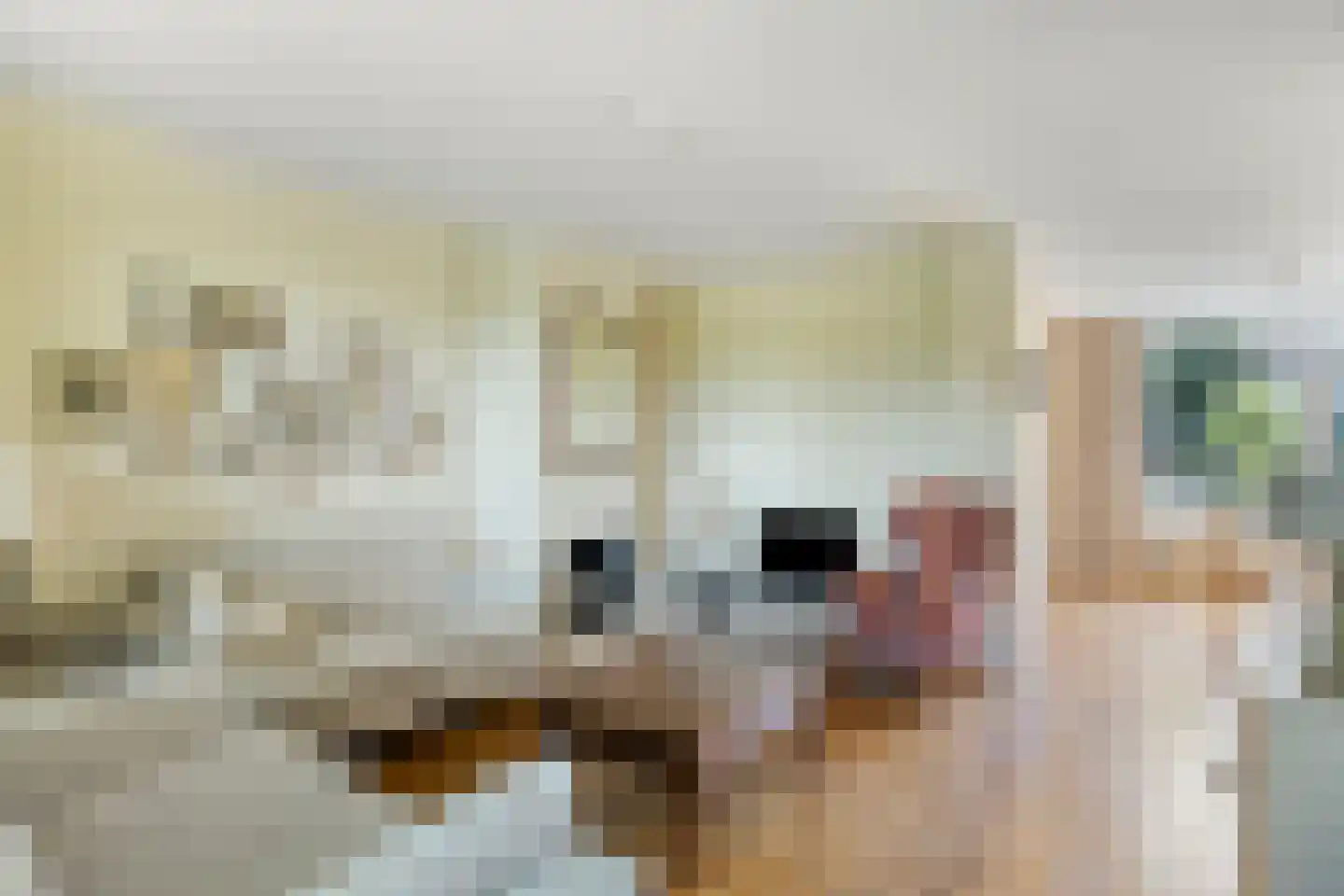 Beukenlaan 8 Rhenen thumbnail 8