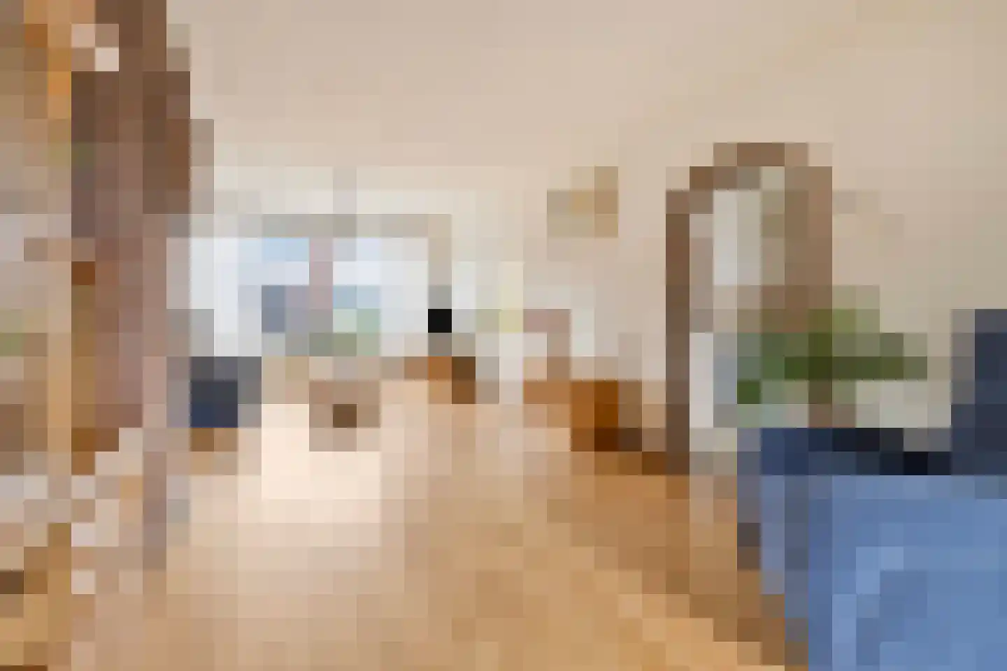 Beukenlaan 8 Venray thumbnail 5