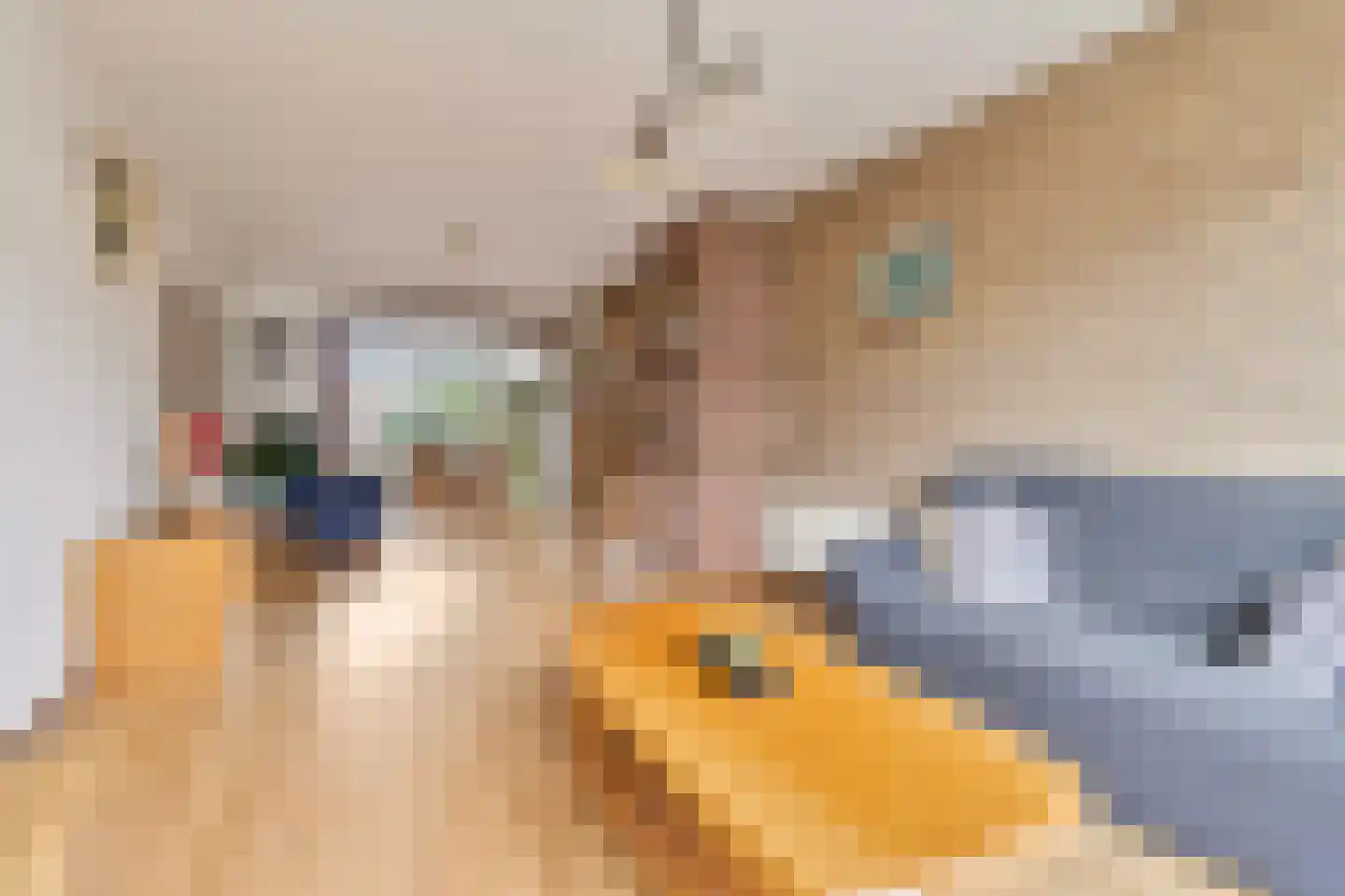 Beukenlaan 8 Venray thumbnail 6