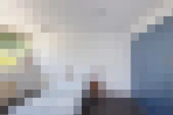 Beukenlaan 81 Eibergen thumbnail 21