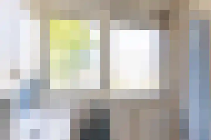 Beukenlaan 81 Eibergen thumbnail 27