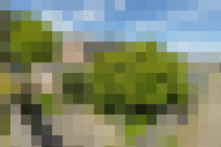 Beukenlaan 81 Eibergen thumbnail 32