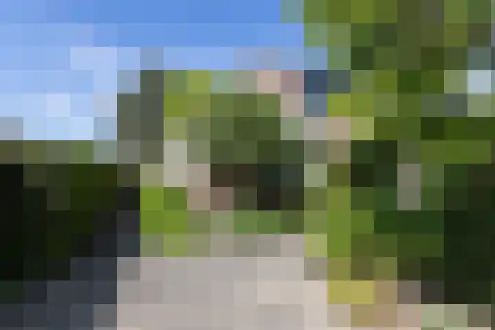Beukenlaan 81 Eibergen thumbnail 35