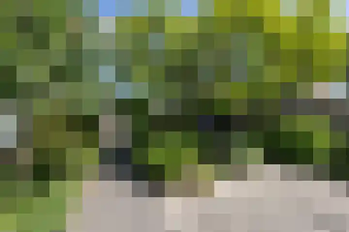 Beukenlaan 81 Eibergen thumbnail 36