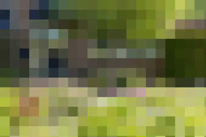 Beukenlaan 81 Eibergen thumbnail 37