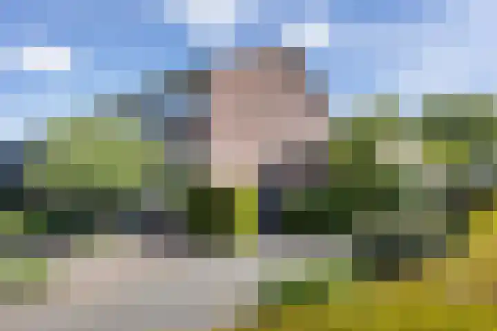 Beukenlaan 81 Eibergen thumbnail 38