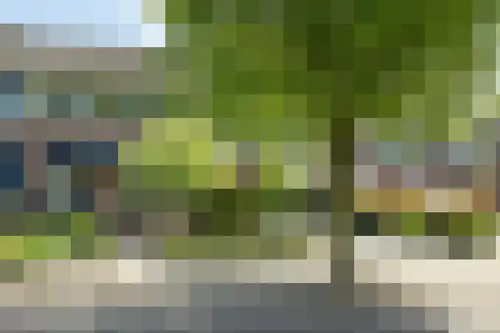 Beukenlaan 81 Eibergen thumbnail 39