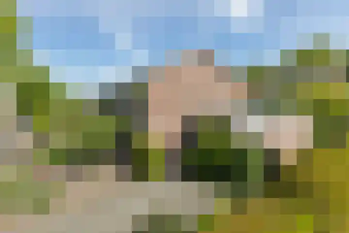 Beukenlaan 81 Eibergen thumbnail 4