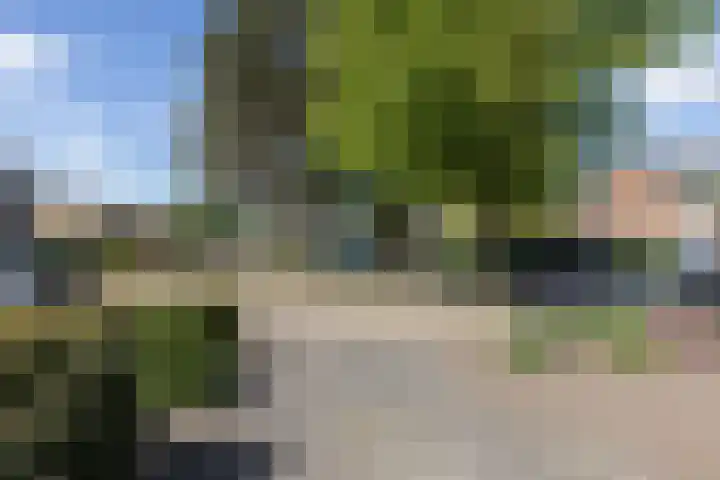 Beukenlaan 81 Eibergen thumbnail 41