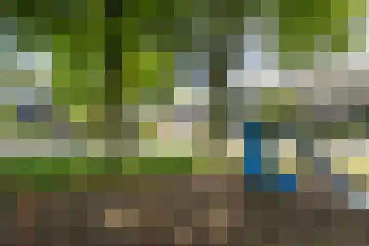 Beukenlaan 81 Eibergen thumbnail 42