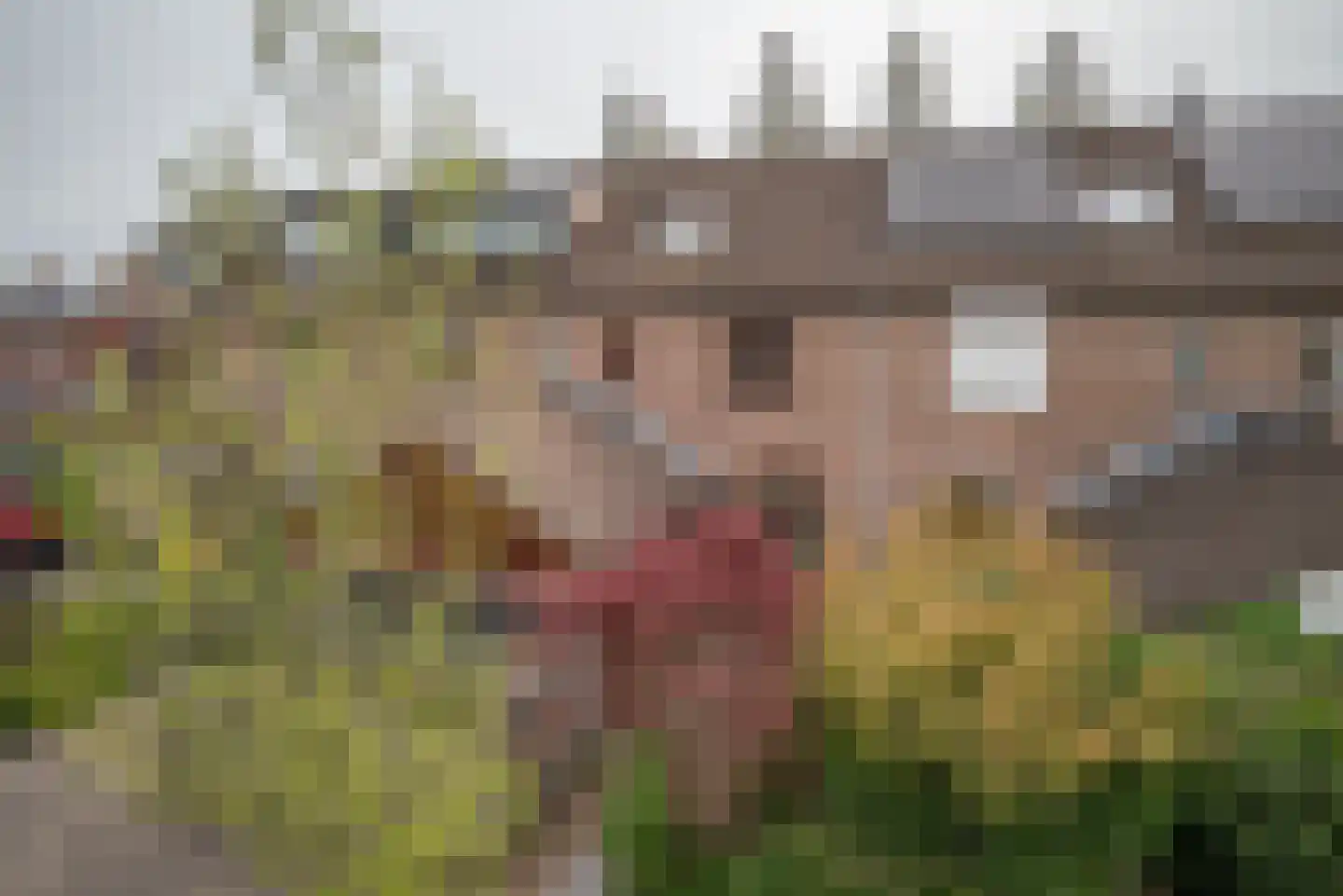 Beukenlaan 89 Bleiswijk