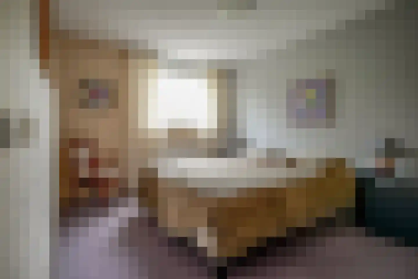Beukenlaan 89 Bleiswijk thumbnail 24