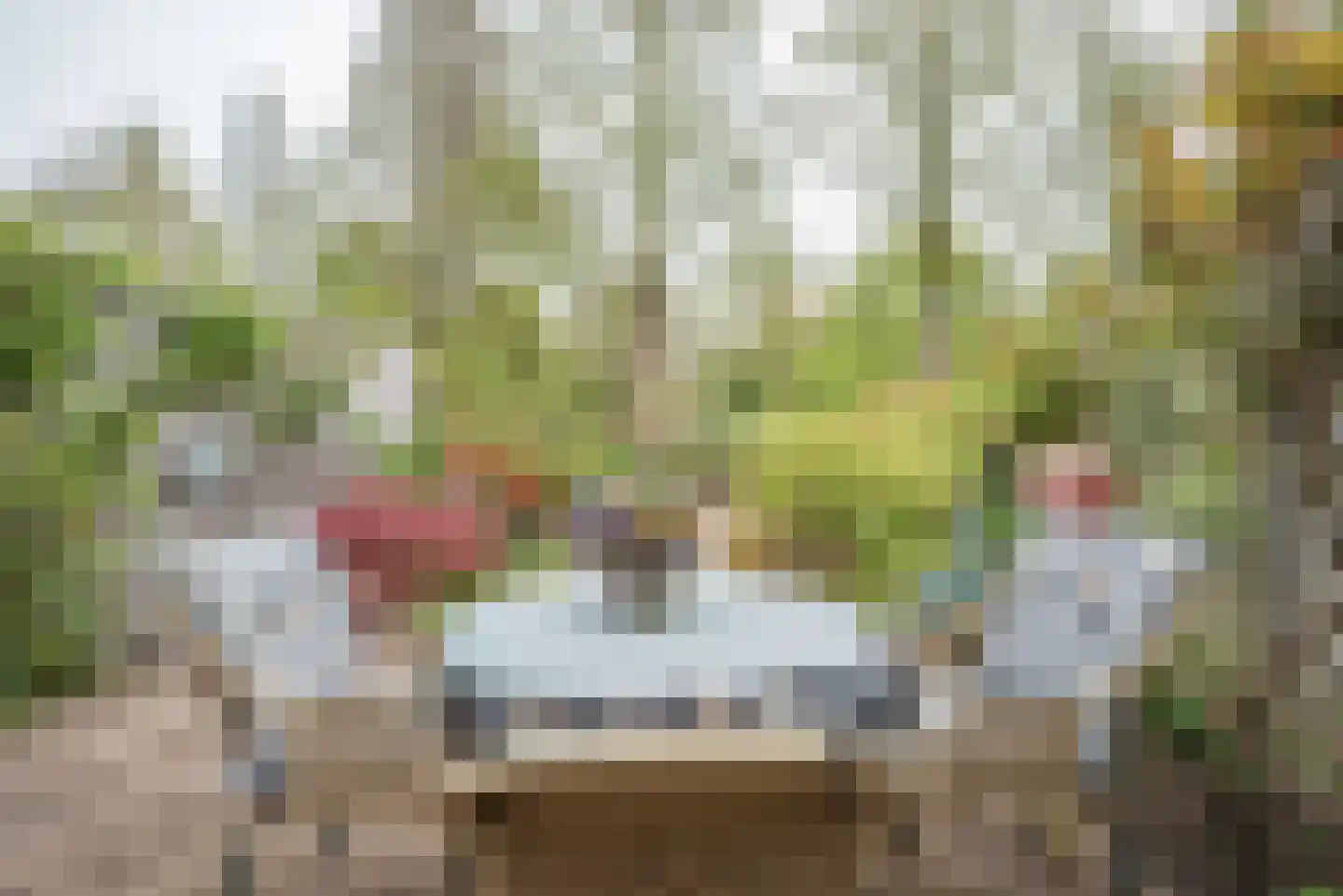Beukenlaan 89 Bleiswijk thumbnail 37