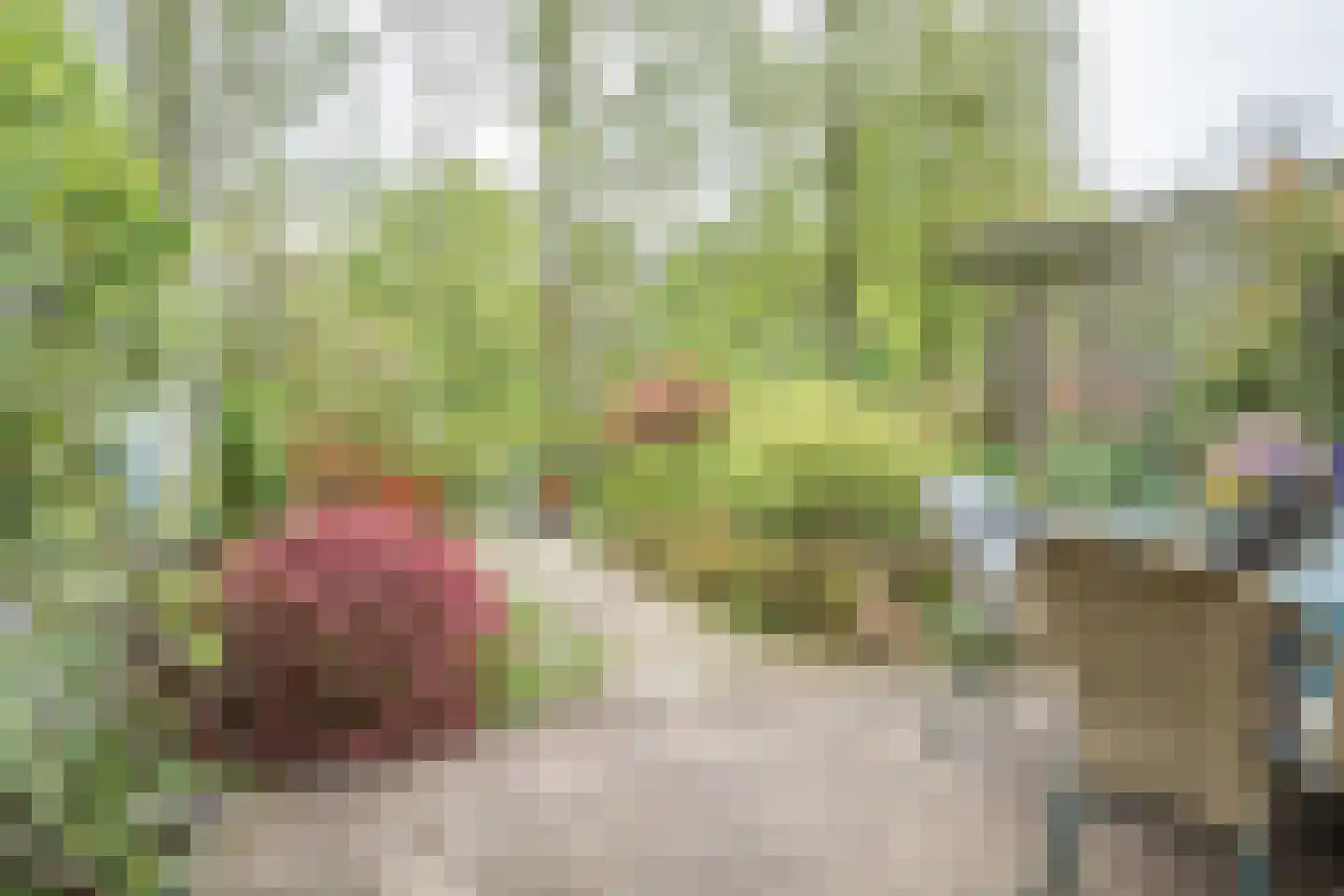 Beukenlaan 89 Bleiswijk thumbnail 4