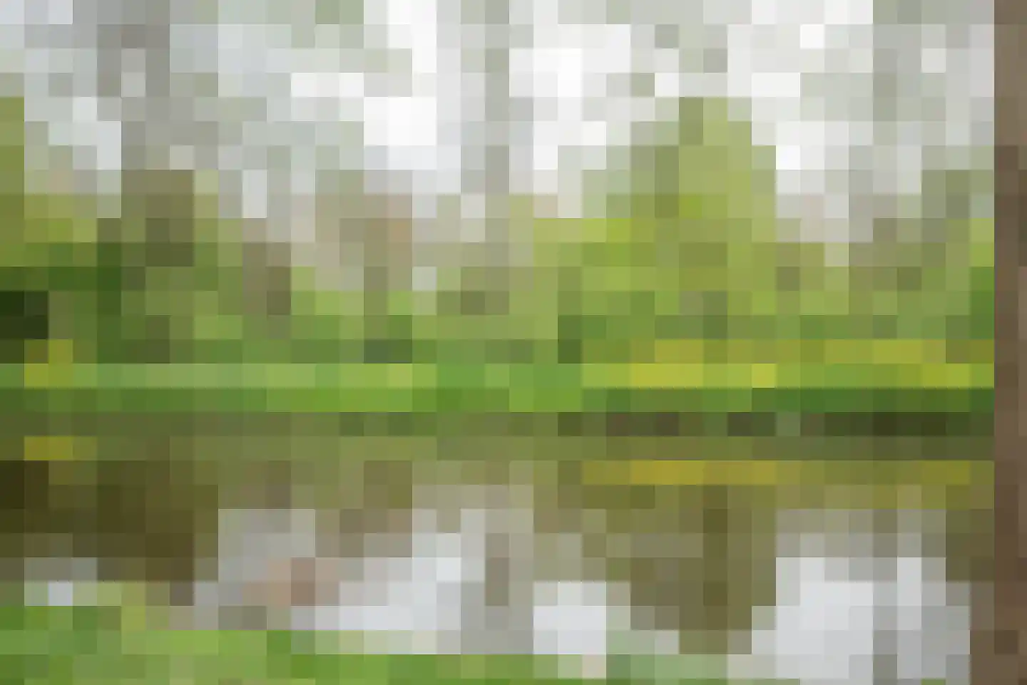 Beukenlaan 89 Bleiswijk thumbnail 41