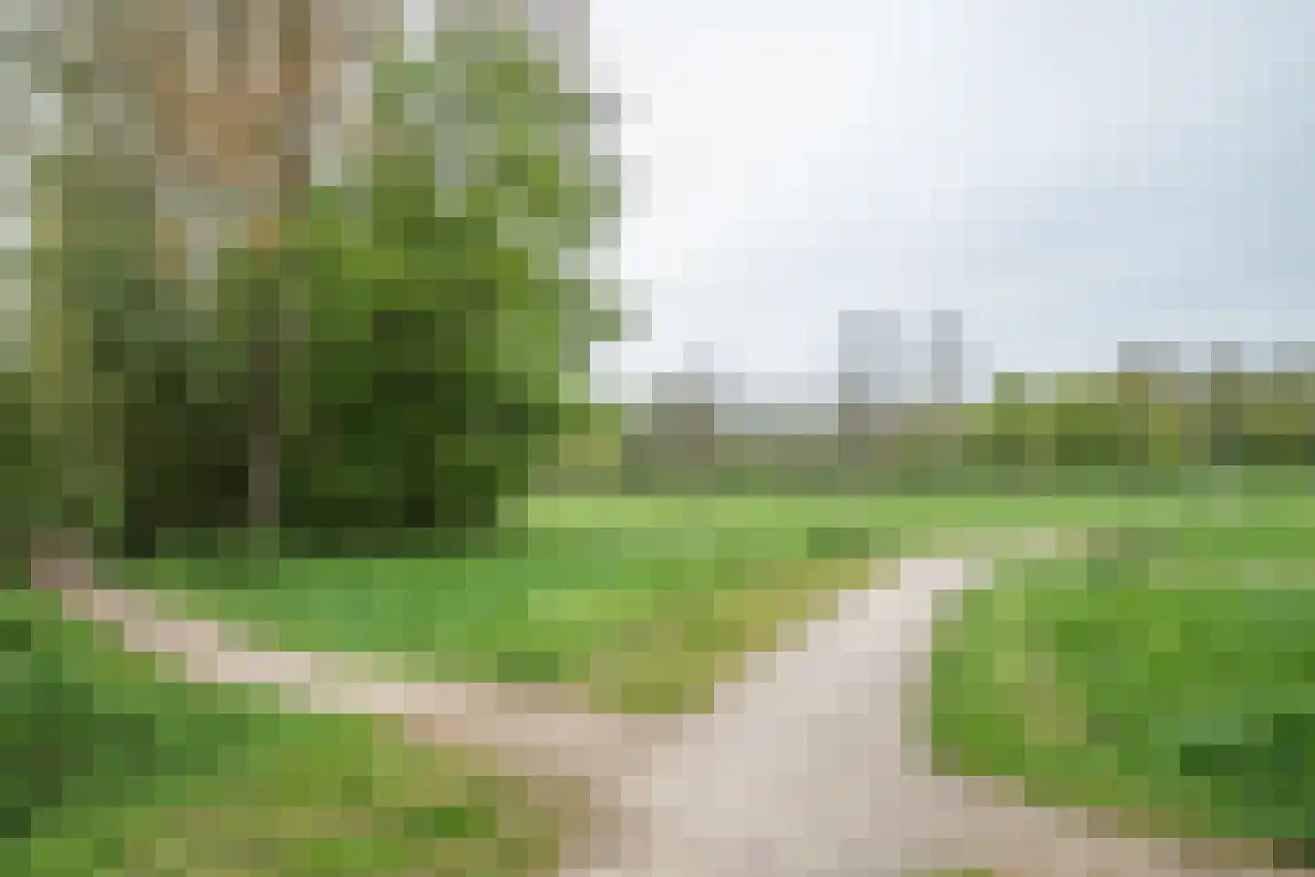 Beukenlaan 89 Bleiswijk thumbnail 42