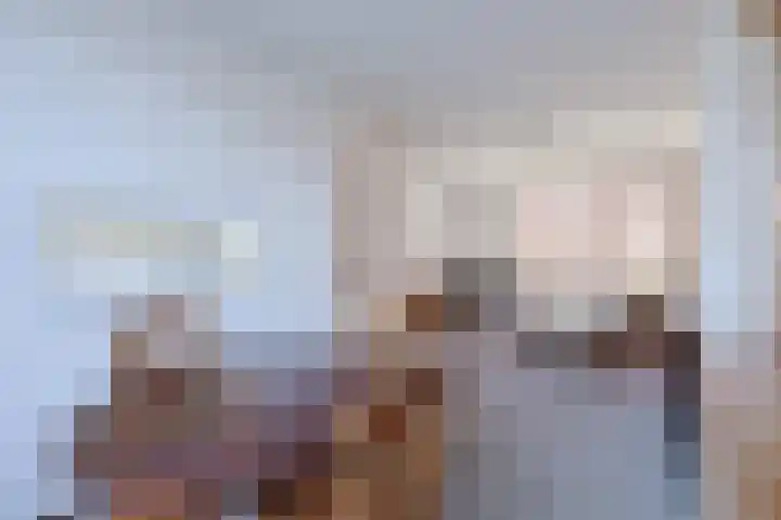 Beukenlaan 9 Alphen aan den Rijn thumbnail 12