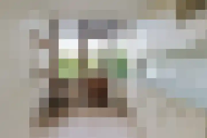 Beukenlaan 9 Alphen aan den Rijn thumbnail 15