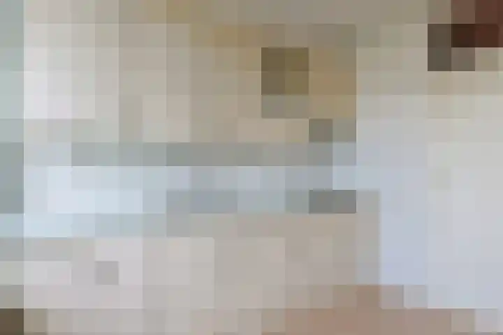 Beukenlaan 9 Alphen aan den Rijn thumbnail 17