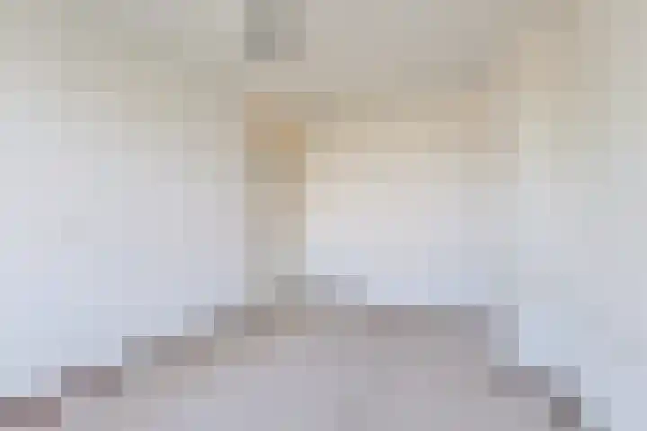 Beukenlaan 9 Alphen aan den Rijn thumbnail 22