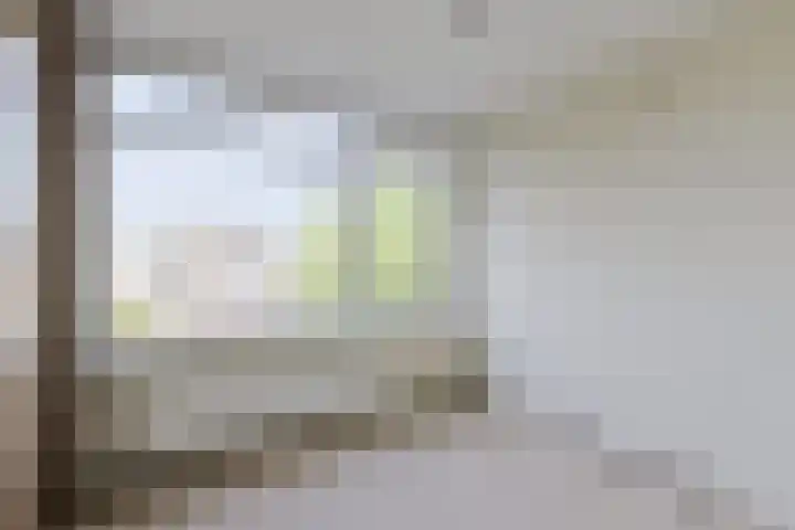 Beukenlaan 9 Alphen aan den Rijn thumbnail 24