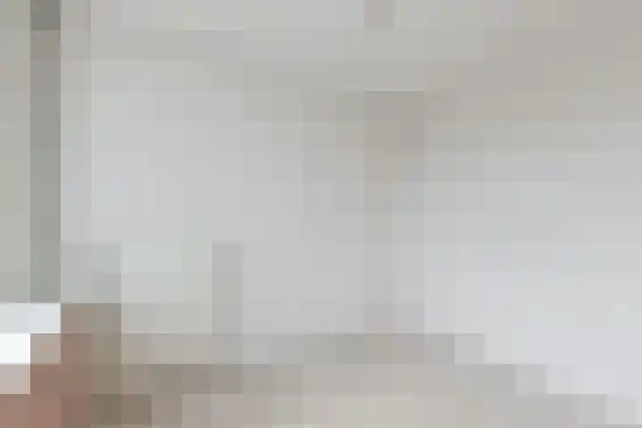 Beukenlaan 9 Alphen aan den Rijn thumbnail 28