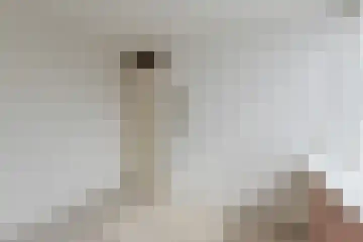 Beukenlaan 9 Alphen aan den Rijn thumbnail 29
