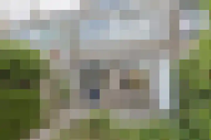 Beukenlaan 9 Alphen aan den Rijn thumbnail 38