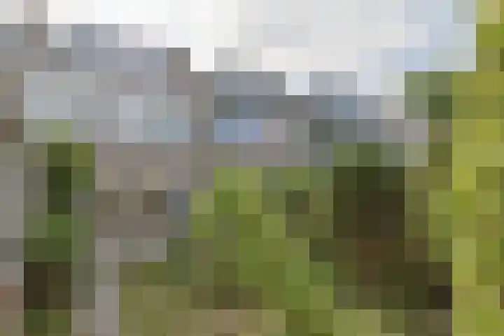 Beukenlaan 9 Alphen aan den Rijn thumbnail 39