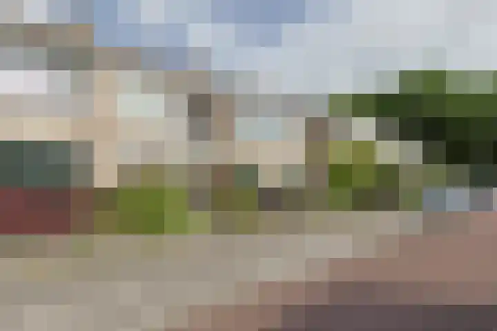 Beukenlaan 9 Alphen aan den Rijn thumbnail 4