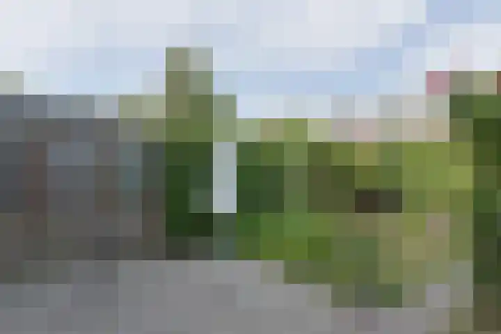 Beukenlaan 9 Alphen aan den Rijn thumbnail 40