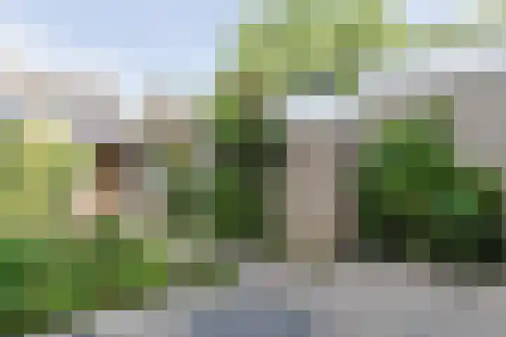 Beukenlaan 9 Alphen aan den Rijn thumbnail 41