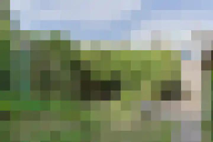 Beukenlaan 9 Alphen aan den Rijn thumbnail 42