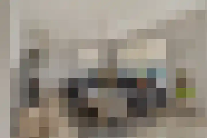 Beukenlaan 9 Emmer-Compascuum thumbnail 10