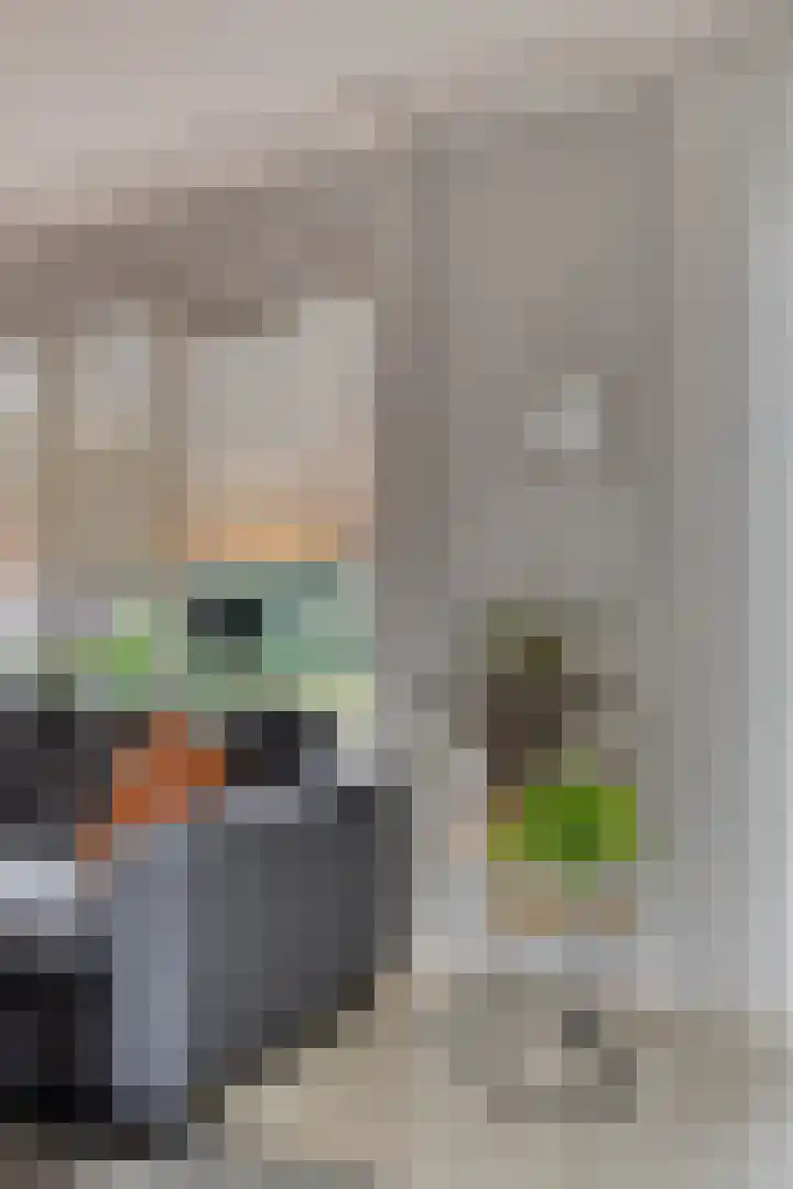 Beukenlaan 9 Emmer-Compascuum thumbnail 12