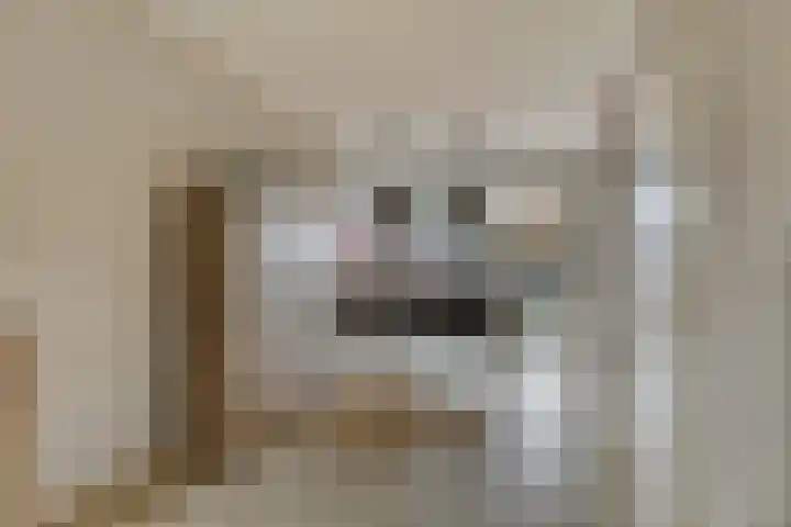 Beukenlaan 9 Emmer-Compascuum thumbnail 15