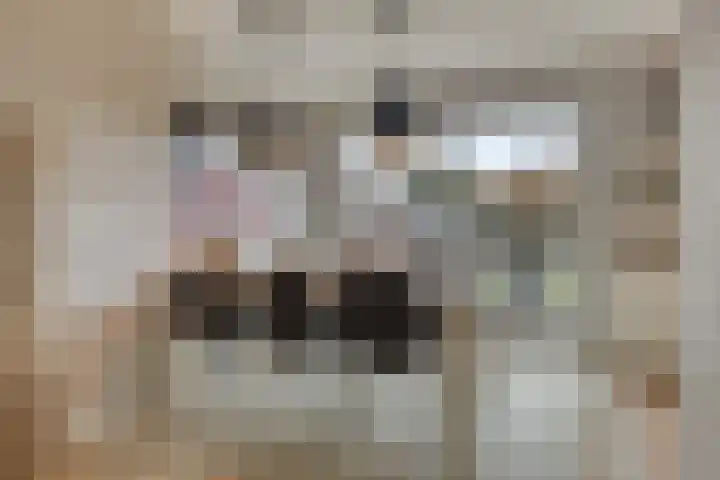 Beukenlaan 9 Emmer-Compascuum thumbnail 16
