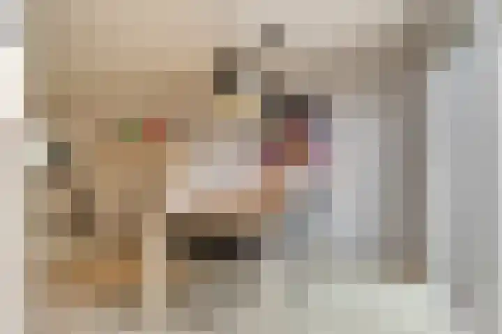 Beukenlaan 9 Emmer-Compascuum thumbnail 17