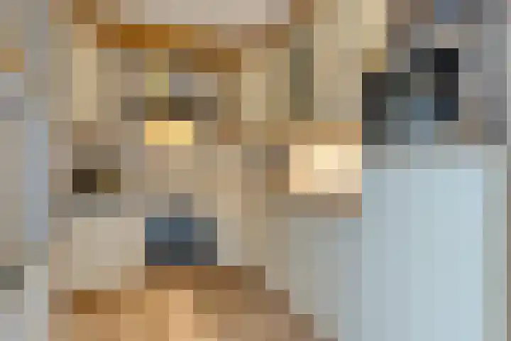 Beukenlaan 9 Emmer-Compascuum thumbnail 18
