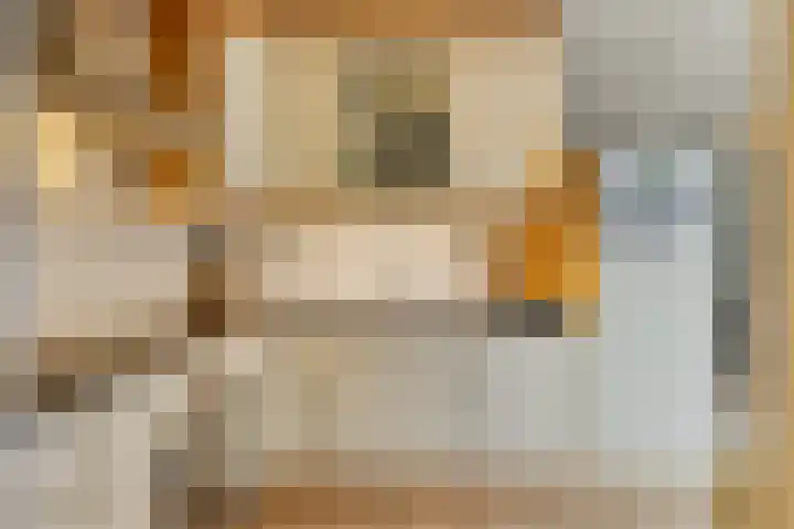 Beukenlaan 9 Emmer-Compascuum thumbnail 19