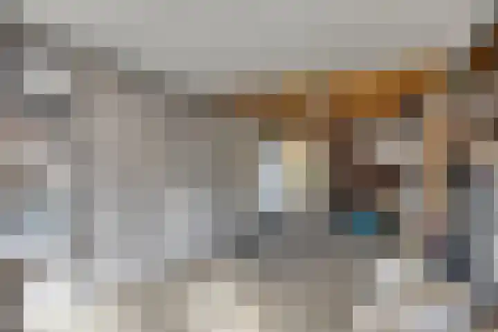 Beukenlaan 9 Emmer-Compascuum thumbnail 21