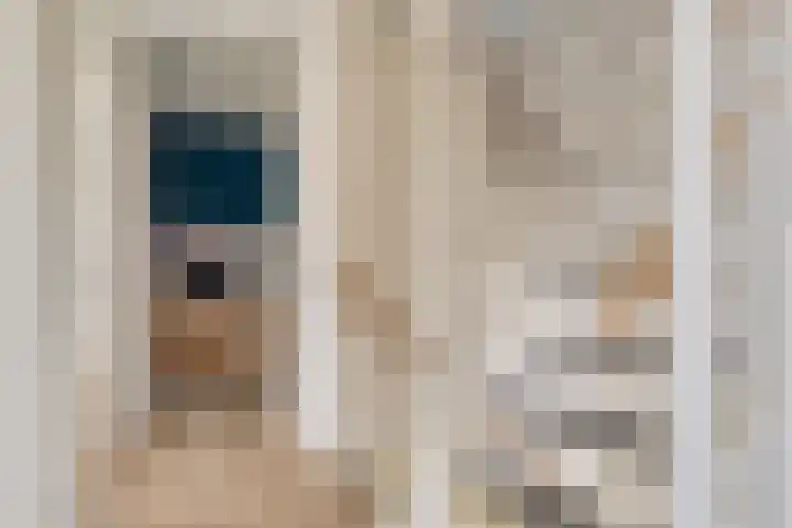 Beukenlaan 9 Emmer-Compascuum thumbnail 22