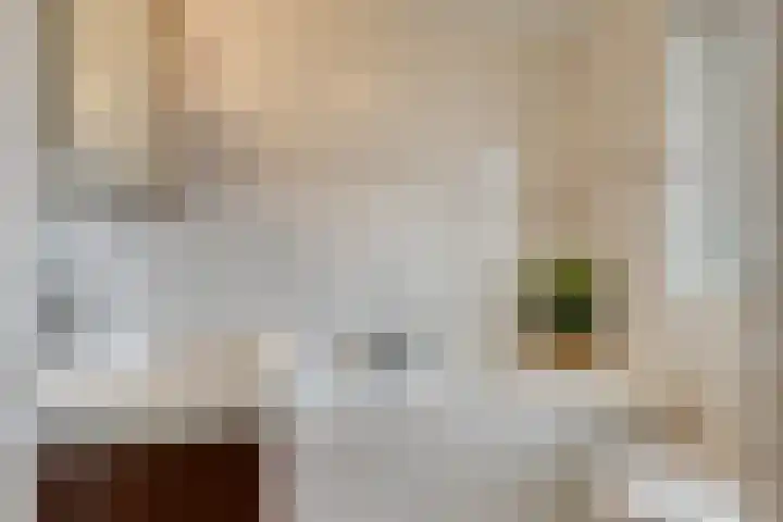 Beukenlaan 9 Emmer-Compascuum thumbnail 25